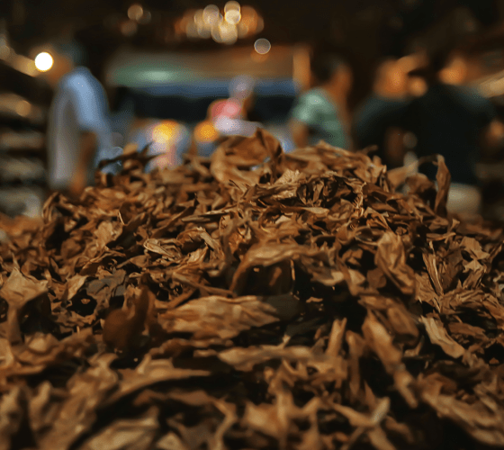 tobacco-about tobacco-about